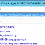 WER (Informe de errores de Windows): Cómo borrar la carpeta ReportQueue en Windows