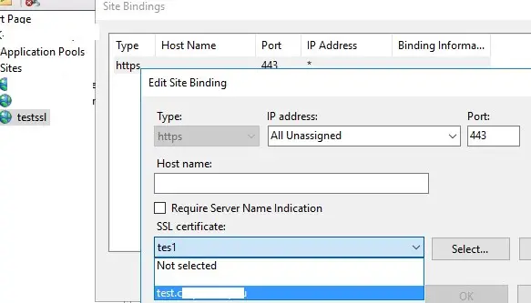 vinculación del certificado sha256 autofirmado al sitio iis en el servidor de Windows
