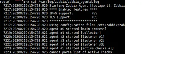 zabbix_agentd.log: no se puede analizar la lista de comprobaciones activas 