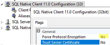 Forzar el cifrado de protocolo en SQL Server Native Client
